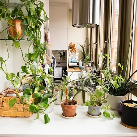 Apartamento Getthekey Carlo Botta